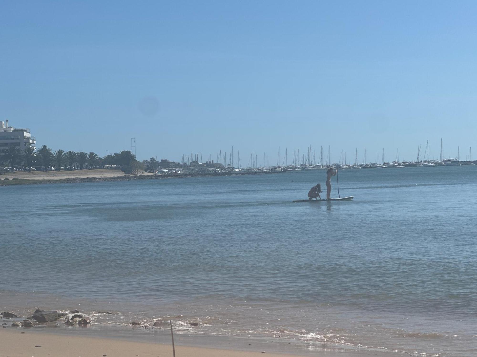Enfrente Al Mar Limpieza Sabanas Y Toallas Estacionamiento Gimnasio Recepcion 24 Hs * Punta del Este